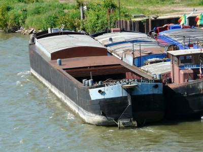 thomery-luminescence.JPG (492.7 Kio) Vu 2591 fois thomery-luminescence.JPG