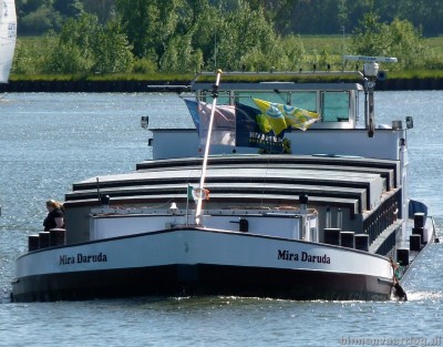 mira-daruda-2-02-06-2013.jpg