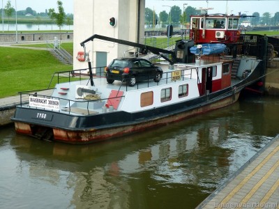 tygo-4-30-05-2013.jpg