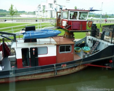 tygo-2-30-05-2013.jpg