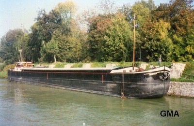 magnolia-moret-x_11_1986rd.JPG