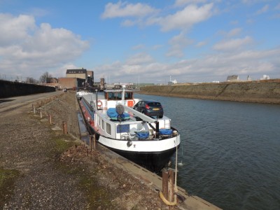 DSCN3129 (Medium).JPG (193.12 Kio) Vu 1460 fois DSCN3129 (Medium).JPG