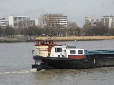 DSCN3209 (Medium).JPG
