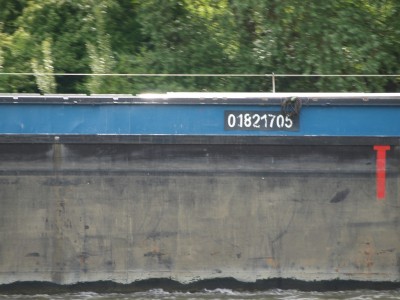 P6141392 (Copier).JPG