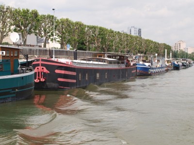 P6141485 (Copier).JPG