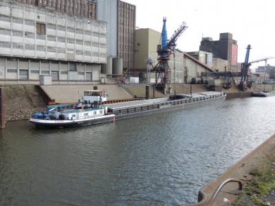 DSCN3131 (Medium).JPG (231.26 Kio) Vu 1299 fois DSCN3131 (Medium).JPG