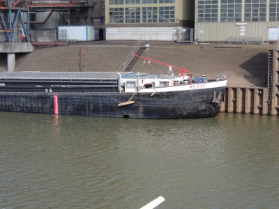 DSCN3137 (Medium).JPG (204.23 Kio) Vu 1299 fois DSCN3137 (Medium).JPG