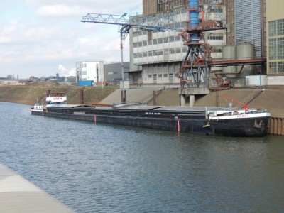 DSCN3138 (Medium).JPG (218.8 Kio) Vu 1299 fois DSCN3138 (Medium).JPG