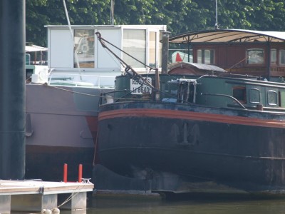 P6141333 (Copier).JPG