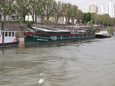 P6141477 (Copier).JPG