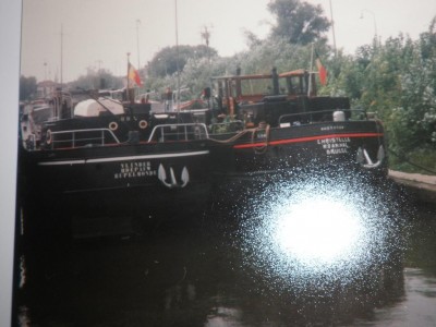 vlinder5.jpg