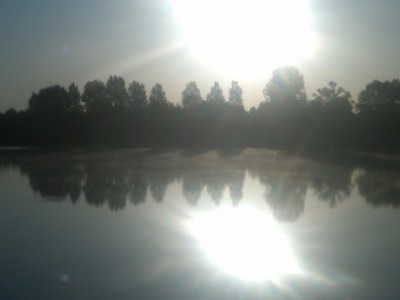 IMG00050-20090830-0752.jpg (32.23 Kio) Vu 4283 fois IMG00050-20090830-0752.jpg