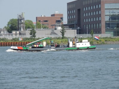DSCN4161 (Medium).JPG