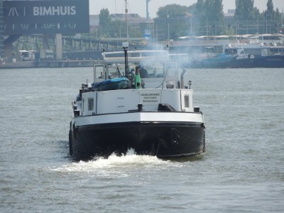 DSCN4084 (Medium).JPG (180.48 Kio) Vu 2978 fois DSCN4084 (Medium).JPG