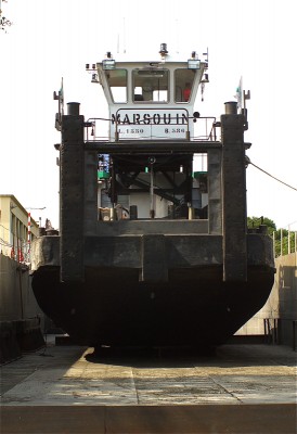 marsouin face.jpg (466.02 Kio) Vu 4278 fois marsouin face.jpg