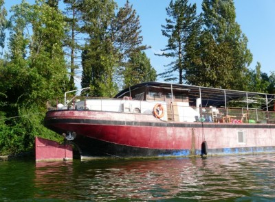 molan-ilon-ar.JPG