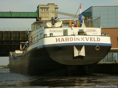 zalmvisser-5-07-11-2008.jpg