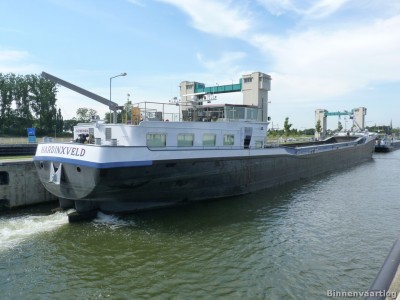 zalmvisser-sluis-lith-2-26-08-2013.jpg