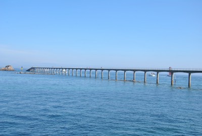 DSC_0101a.jpg