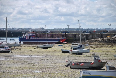 DSC_0322a.jpg (262.8 Kio) Vu 1644 fois DSC_0322a.jpg