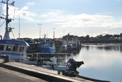 DSC_0272a.jpg (198.78 Kio) Vu 1653 fois DSC_0272a.jpg