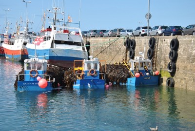 DSC_0343a.jpg (297.69 Kio) Vu 1653 fois DSC_0343a.jpg