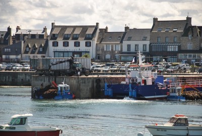 DSC_0352a.jpg (265.14 Kio) Vu 1653 fois DSC_0352a.jpg