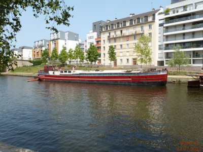 P1020055.JPG
