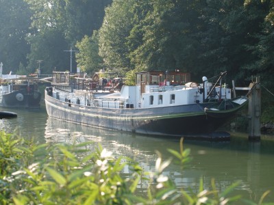 P8301629 (Copier).JPG (254.37 Kio) Vu 2406 fois P8301629 (Copier).JPG