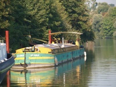 P8301627 (Copier).JPG (294.93 Kio) Vu 1681 fois P8301627 (Copier).JPG