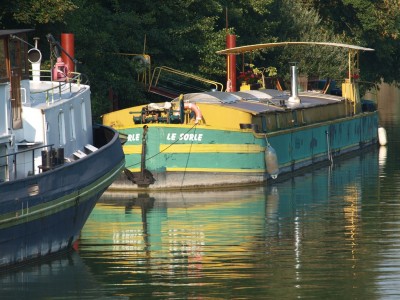 P8301626 (Copier).JPG (277.94 Kio) Vu 1681 fois P8301626 (Copier).JPG