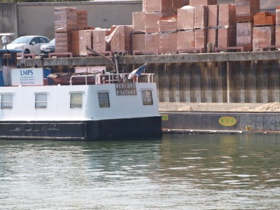 P8301733 (Copier).JPG
