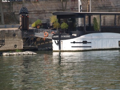 P8301765 (Copier).JPG (264.93 Kio) Vu 5140 fois P8301765 (Copier).JPG