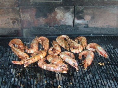 gambas.jpg