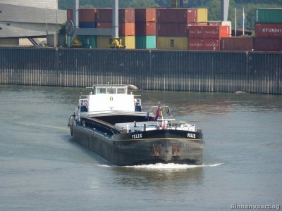 felix-1-06-09-2013.jpg