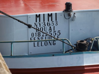 P9061849 (Copier).JPG (152.61 Kio) Vu 1773 fois P9061849 (Copier).JPG