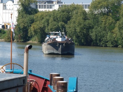 P9021798 (Copier).JPG (266.45 Kio) Vu 2788 fois P9021798 (Copier).JPG