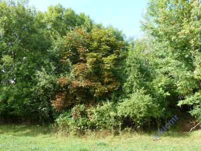 Pierre-la-Treiche - chantier Mourlon (02).JPG (190.28 Kio) Vu 12345 fois Pierre-la-Treiche - chantier Mourlon (02).JPG