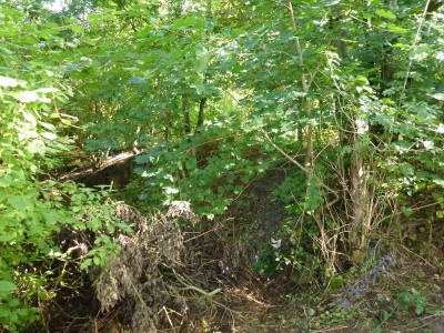 Pierre-la-Treiche - chantier Mourlon (05).JPG (189.22 Kio) Vu 12345 fois Pierre-la-Treiche - chantier Mourlon (05).JPG