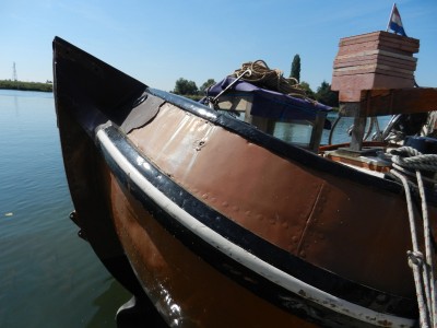 WATER-LILLY (4).JPG (156.6 Kio) Vu 1113 fois WATER-LILLY (4).JPG