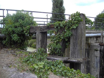 PICT8109PARTAGEI.jpg (213.71 Kio) Vu 4781 fois PICT8109PARTAGEI.jpg