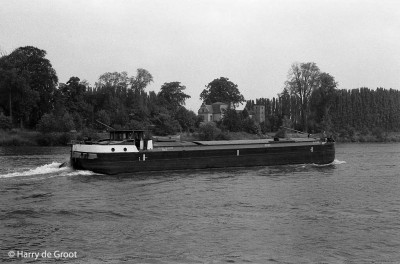 Sylpas 01821335 (2).jpg