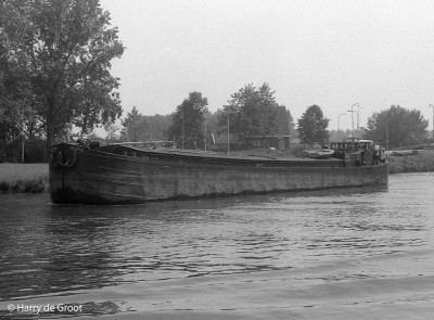 Rephi 06001373 (1).jpg