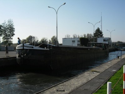 SAM_0709.JPG