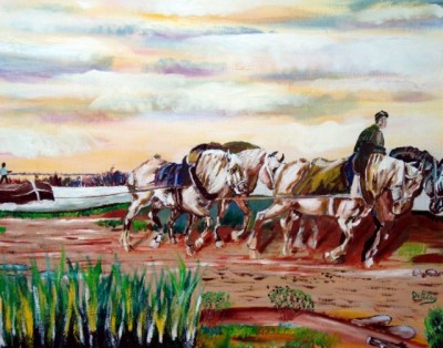 halage avec plusieur cheveaux (640x503).jpg (226.31 Kio) Vu 11945 fois halage avec plusieur cheveaux (640x503).jpg