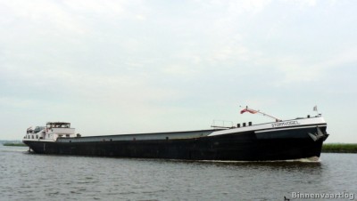 a3-stormvogel-1-20-06-2013.jpg