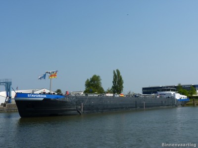 stavordia-2-23-04-2011.jpg