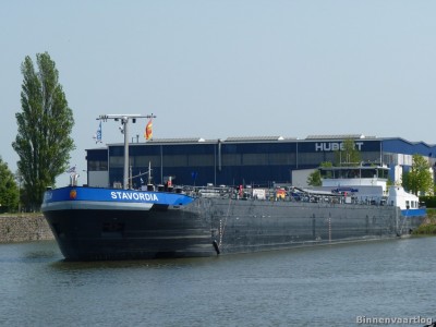 stavordia-1-23-04-2011.jpg
