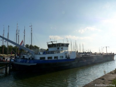 stavordia-2-30-08-2013.jpg