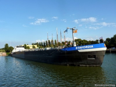 stavordia-1-30-08-2013.jpg